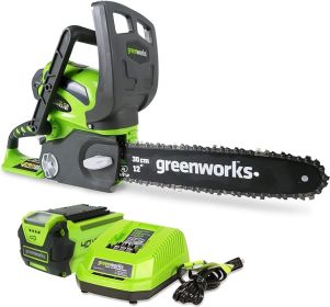 Greenworks 40V 12" Cordless Compact Chainsaw (Great For Storm Clean-Up, Pruning, and Camping),2.0Ah Battery and Charger Included